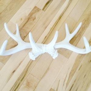Faux Deer Antlers Wall Decor• Jewerly Rack